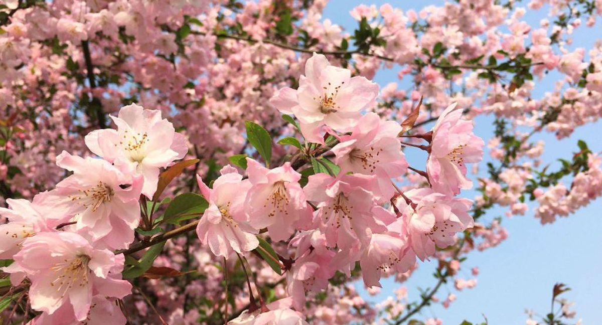 KY开元集团官网风景