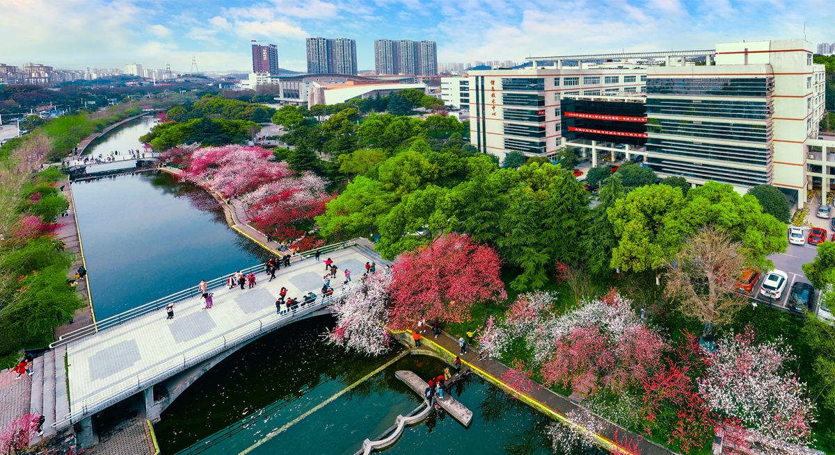 “趣享运动 携手迎新”KY开元集团官网机关工会趣味运动会圆满落幕