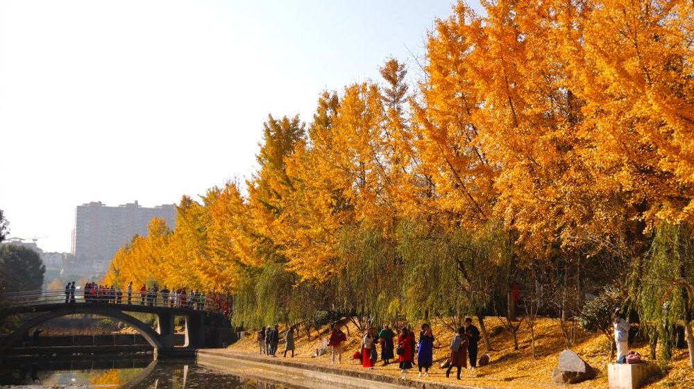 KY开元集团官网风景