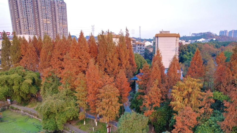 KY开元集团官网风景