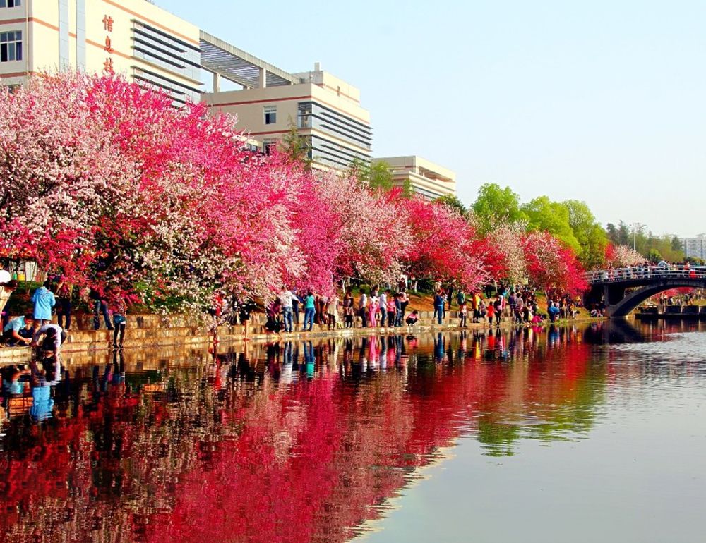 KY开元集团官网风景