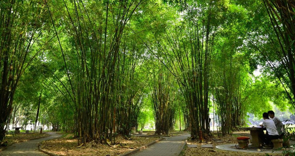 KY开元集团官网风景